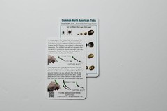 Tick Removal Kit, Precision Stainless Steel Tools, Carry Case, Tick ID Card, Rem