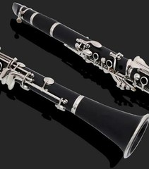 clarinet in B flat，beginner’s performance, professional playing instrument