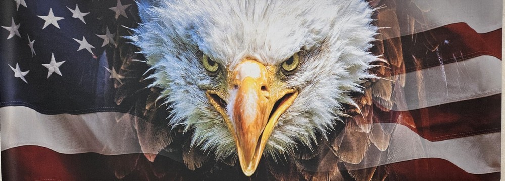 Large Gun Cleaning Mat – 43in x 16in – Eagle with American Flag