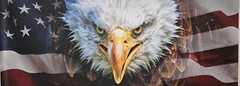 Large Gun Cleaning Mat – 43in x 16in – Eagle with American Flag