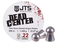 JTS Airguns Dead Center Precision .22 Caliber Pellets (22.07 .22″, Silver