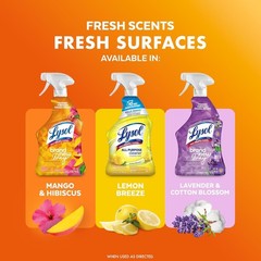 Lysol All Purpose Cleaner Spray, Multi-Purpose Mango & Hibiscus Scent, 32 Fl Oz