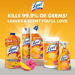 Lysol All Purpose Cleaner Spray, Multi-Purpose Mango & Hibiscus Scent, 32 Fl Oz