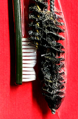 Knight Gun Cleaning Brush Set .54 Caliber 5 Piece Set #900096