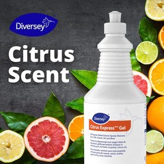 Diversey 95002523 Citrus Express Gel All Purpose Gel Solvent Spotter Removes