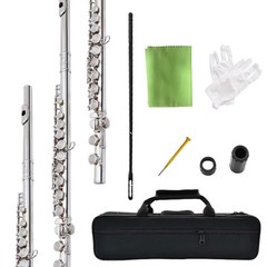 flute 16-hole closed-hole C-tone nickel-plated, beginner to play graded flute,