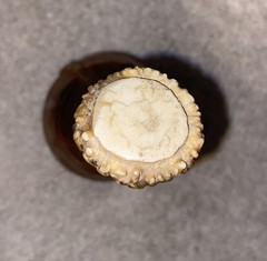 Leather Covered Plastic Squeeze Bottle With Antler Lid
