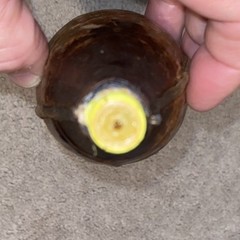Leather Covered Plastic Squeeze Bottle With Antler Lid