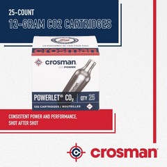 Crosman 25-Count 12-Gram CO2 Cartridges For Air Rifles And Medium, Silver
