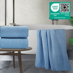POLYTE 430 GSM Microfiber Quick Dry Lint Free Bath Sheet, 70 x 35 in, Set of…