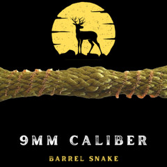 “Whether you’re a seasoned hunter, a competitive shooter, 9mm Barrel Snake clean