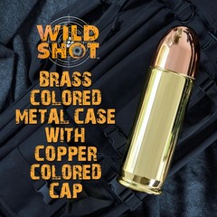 Deluxe Cleaning/Gunsmithing Kit – Aluminum Bullet-Shaped Storage Case, Brass …
