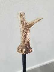 VINTAGE Deer Antler Handle GUN CLEANING ROD RIFLE SHOTGUN CLEANING ROD
