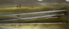 Gun Cleaner Cleaning Kits for Rifle, Pistol & Shotgun 3 Kits