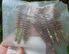 USGI Military 9mm .38 Cal Bore Brush Beretta M9 Small Arms Brass NOS 10 Pack USA