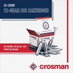 Crosman 25-Count 12-Gram CO2 Cartridges For Air Rifles And Medium, Silver