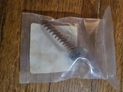 US MILITARY 223 CHAMBER BRUSH LOT OF (10) 5.56 NEW