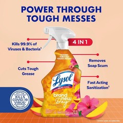 Lysol All Purpose Cleaner Spray, Multi-Purpose Mango & Hibiscus Scent, 32 Fl Oz