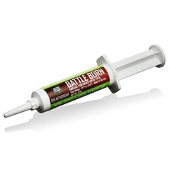 Breakthrough Clean Technologies Battle Born Grease 12cc – BTG12CC