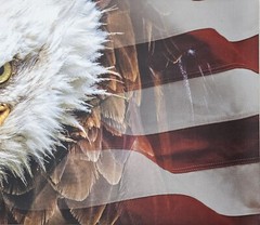 Large Gun Cleaning Mat – 43in x 16in – Eagle with American Flag