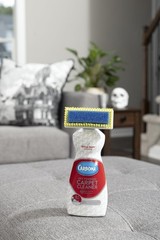 Carbona 2-In-1 Oxy-Powered Carpet Cleaner 13.5 Fl Oz Spot Cleaner Dual