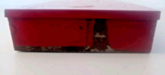 Vintage Montgomery Ward Western Field Cleaning Kit Red Metal 13 x 4 1/4 x 1 1/2″