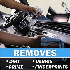 Total Interior Cleaner & Protectant 16 oz with Professional Grade Microfiber