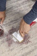 Carbona 2-In-1 Oxy-Powered Carpet Cleaner 13.5 Fl Oz Spot Cleaner Dual